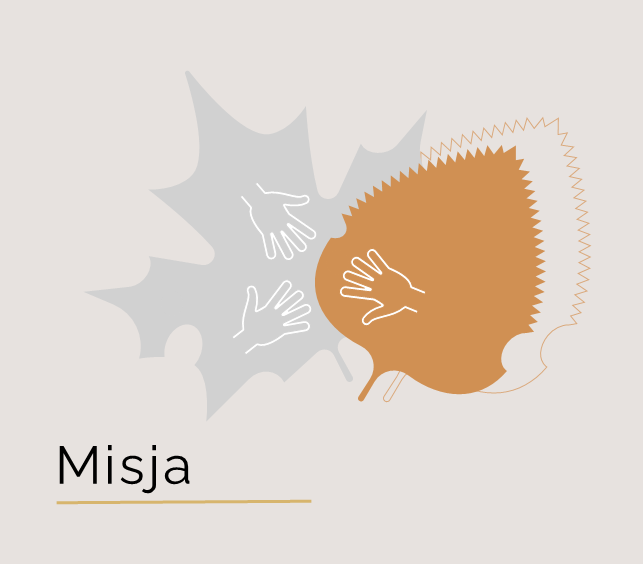 Misja2